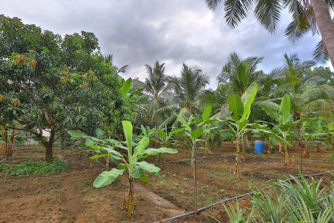 Sayon River Cottage & Eco Garden Monaragala Exterior foto