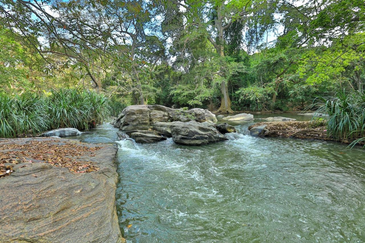 Sayon River Cottage & Eco Garden Monaragala Exterior foto